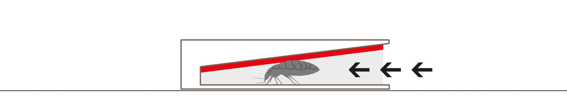 Domobios_pièges_bed-bugs_Colle-Linéaire Eliminer supprimer punaises de lit grâce à des PIÈGES SANS PRODUIT TOXIQUE