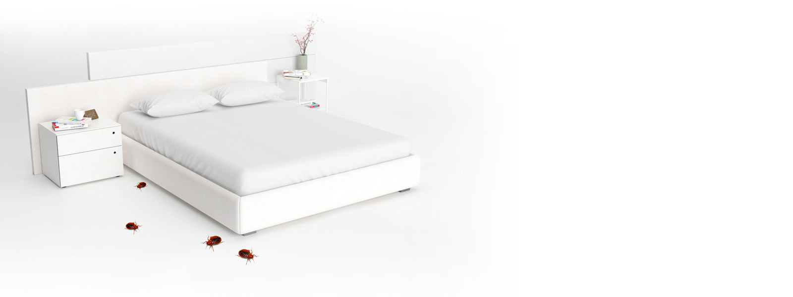 Eliminer supprimer punaises de lit grâce à des PIÈGES SANS PRODUIT TOXIQUE Eliminer supprimer punaises de lit grâce à des PIÈGES SANS PRODUIT TOXIQUE